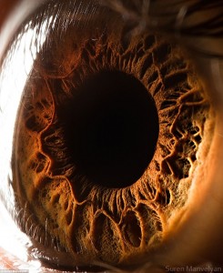 Photograph by Suren Manvelyan