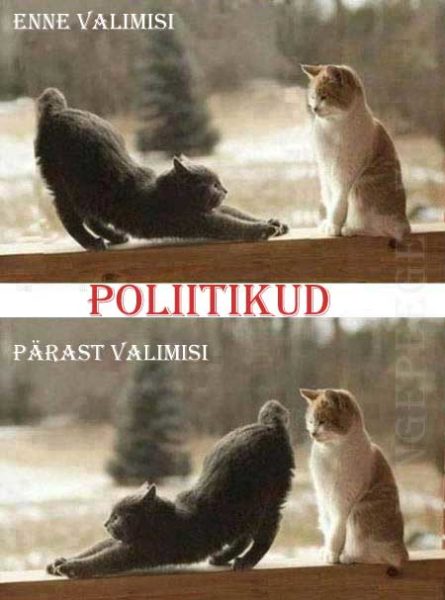 Poliitikud enne ja pärast valimisi.