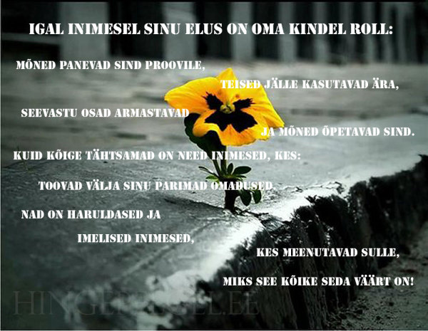 elu õppetund