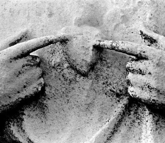 Viiepäevane e-kursus, kuidas leida oma hinge eesmärki – 3. ülesanne