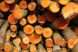 http://www.timberyard.co.uk/
