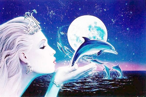 Foto: Cosmic Dolphins