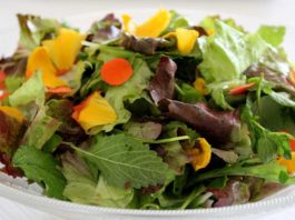 Kask rahvameditsiinis