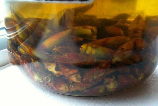 Foto: Urban Under Stories