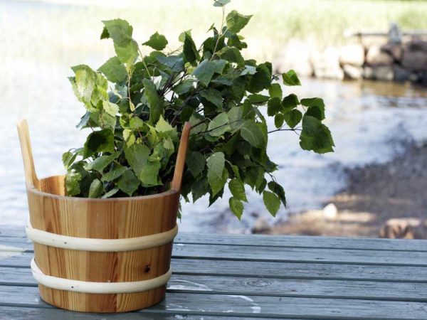 Foto: Radisson Blu Blog