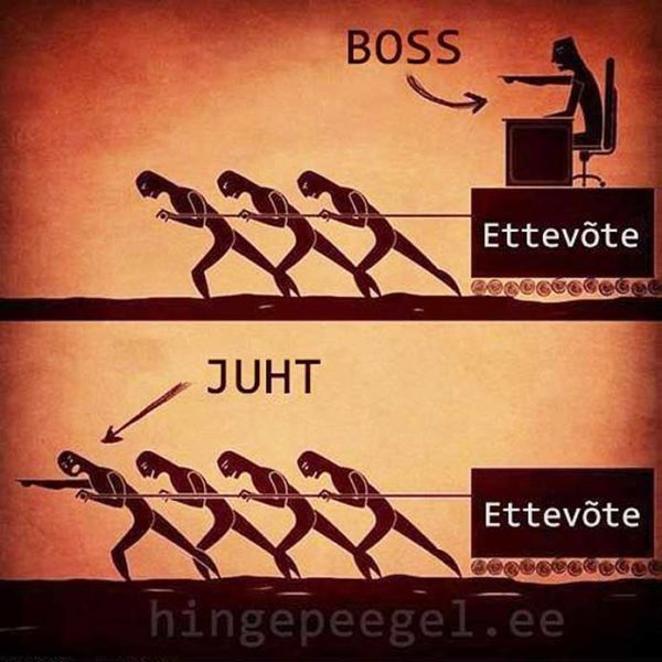 juht