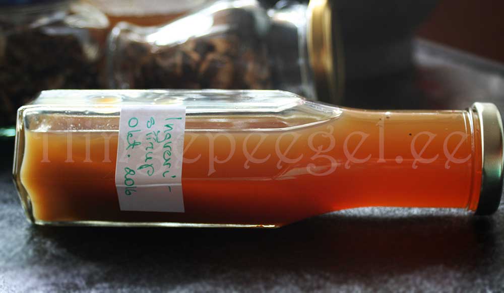 ingverisiirup-051016