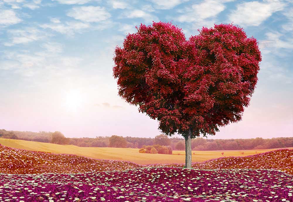 Foto: Worlds Greatest Art