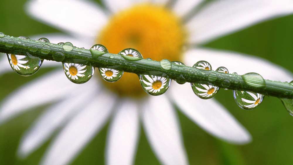 Foto: HD Widescreen Wallpapers