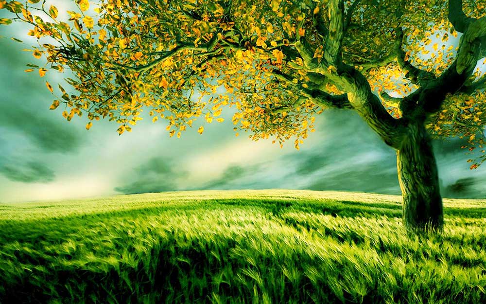 Foto: Positive Energy