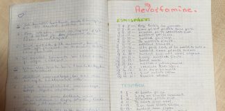 Gen X – meenutusi kooliajast