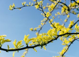 Nädala sõnumid 20. – 26. aprill 2026