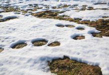 Nädala sõnumid 6. – 12. aprill 2026