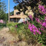 Nädala sõnumid 6. juulist – 12 juulini