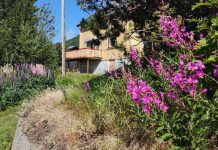 Nädala sõnumid 6. juulist – 12 juulini