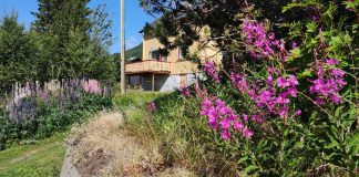 Nädala sõnumid 6. juulist – 12 juulini