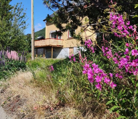 Nädala sõnumid 6. juulist – 12 juulini